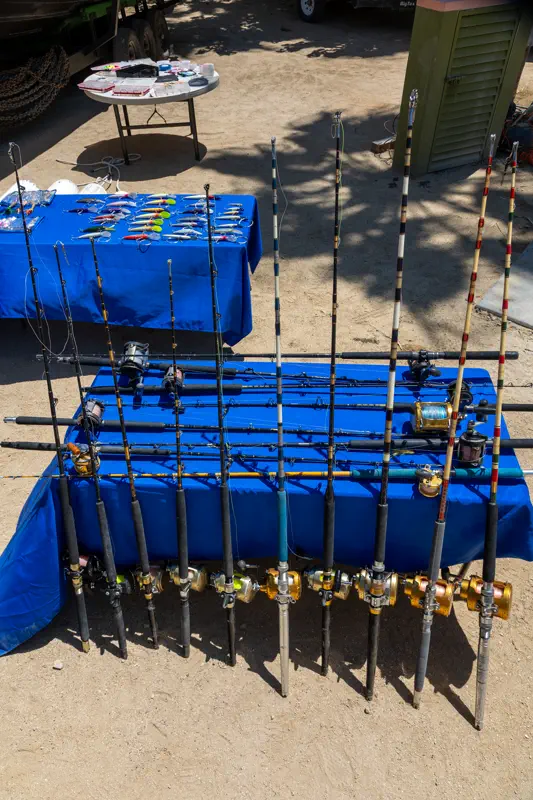 Rod and reel rack
