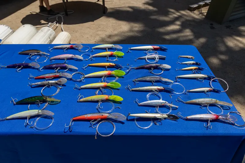 Hard baits and plugs