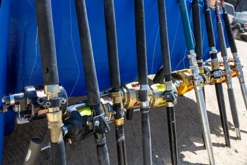 Rods and reels