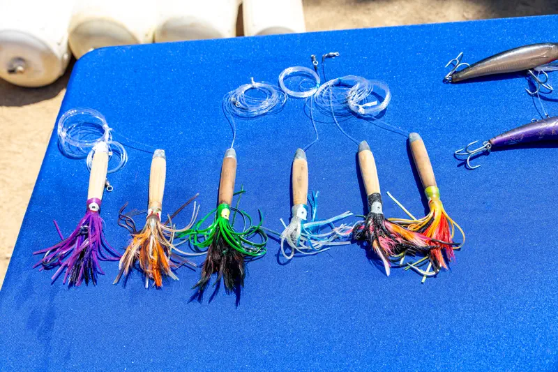 Plugs and hard baits