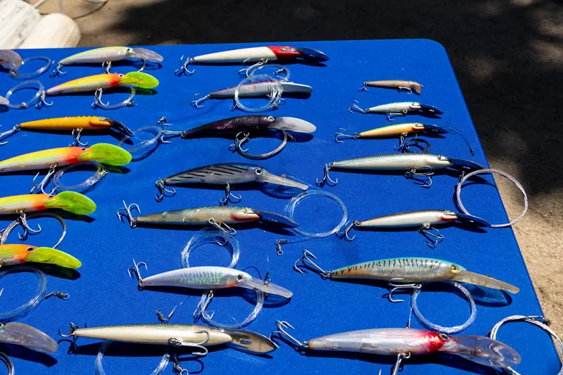 Hard baits