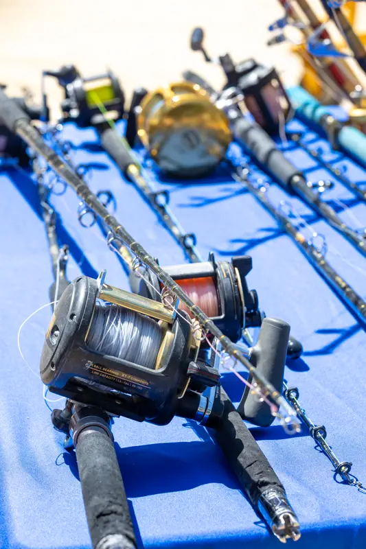 Reel and rod detail