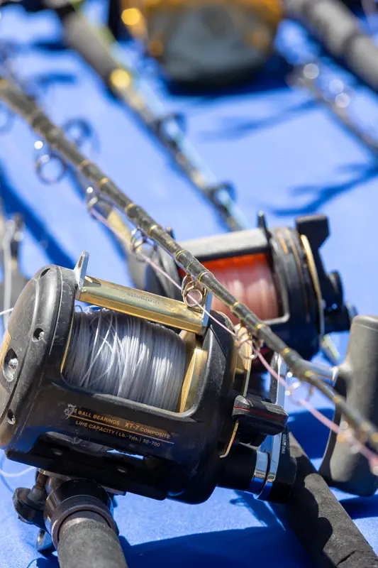 Trolling reel