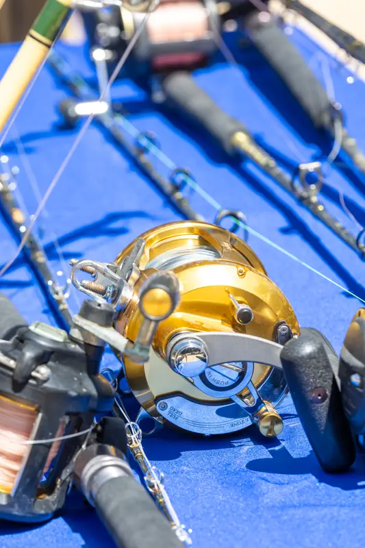 Reel detail