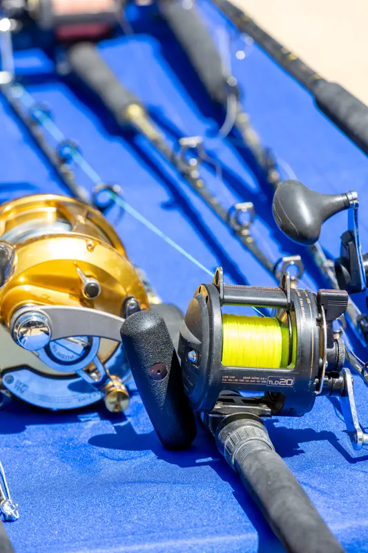 Reel and line